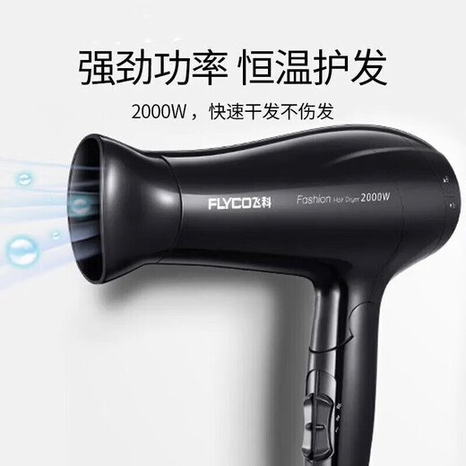 Flyco 2000W Faartrockner für Haushalt kleiner heißer und kalter Luft Salon Hochleistungsfair Trockner Hoch Windkraft falten Schnellrocknen Faartrockner für Studentenwohnheime FH6232/31 FEIKE 6231 Ordentliche Installation