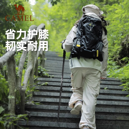 骆驼（CAMEL）登山杖全碳素轻便伸缩拐杖多功能专业户外防滑男女徒步登山装备 210G 橡木灰 碳铝伸缩 174BABP671 均码