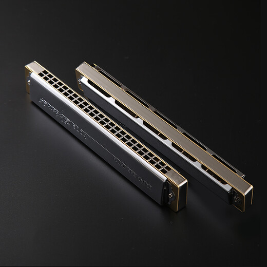 Tongbao Tombo Harmonica 6624S Коллекция Модель высококлассной комплексной сетки, версия для полифонической гармоники, профессиональная производительность, гибкая перспектива [металлическая медная сетка]]