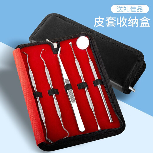铂呐苓 牙结石神器 洁牙器牙齿科工具家用剔牙神器口腔护理清牙齿科牙 洁牙工具【五件套】