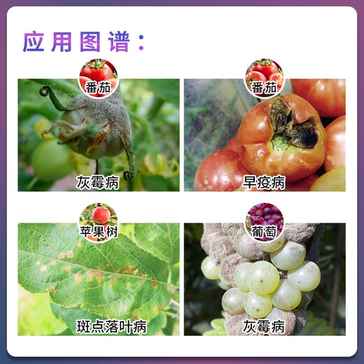 Fumei Shipu hyacinide iprodione tomato apple grape early blight spotted leaf disease gray mold fungicide pesticide 15ml