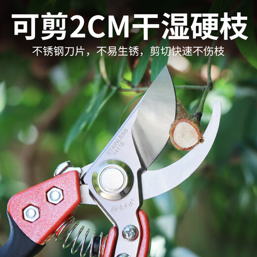 园艺剪刀修枝剪家用不锈钢园林果树修剪树枝剪刀专用粗枝花艺剪子 14116橙黑修枝剪牛津布套