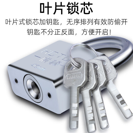 虎顿（HOTUN）挂锁 防水防锈门锁工具锁 家用学校商铺门锁小防盗窗锁小挂锁30mm