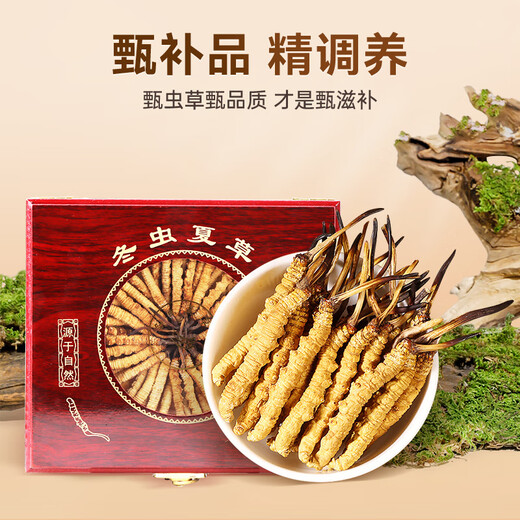 Tongyongtang Cordyceps sinensis 3 roots/g 10 grams 30 roots high-quality Cordyceps gift box tonics parents and elders gifts