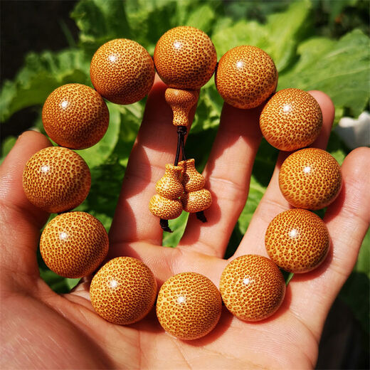 Jiang Jinyues authentisches Drachenblut Golden Seide Bambusarmband Pflaumenblüten Bambus Buddha Perlen handgefertigte Rosenkranzperlen kleines Blatt Rot Sandelholz Hainan Huanghuali Sn841 1.5-15