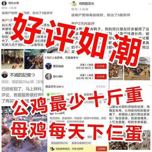 Egg-increasing Bao chicken egg-laying egg Duoduo chicken, duck, goose and poultry general egg-laying Bao quail, pigeon and chicken egg-laying medicine 1 bottle special for poultry egg-laying