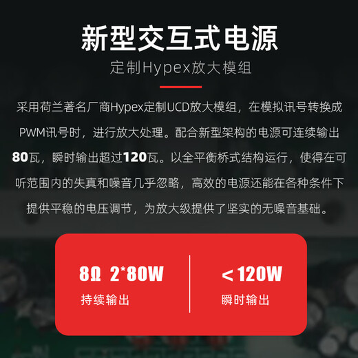 NAD C368 发烧级合并式功放功率放大器蓝牙HiFi音乐功放机家用立体声2.0声道 【套装】C368+达尼皇太子6