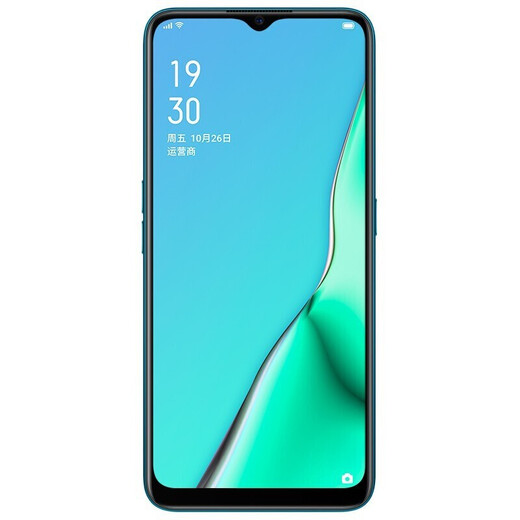 OPPO A11x 二手手机 4800万四摄防抖 高通芯片 湖光绿【赠配件大礼包】 【95成新】8GB+128GB（赠配件大礼包）