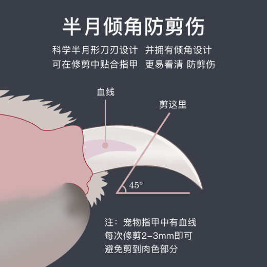 HUNTER German HUNTER stainless steel nail clippers pet stainless steel nail clippers special nail clippers for dogs and cats nail clippers large 16 x 6.5cm gardening handle