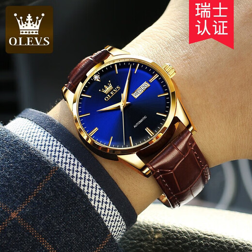 Olevs Swiss Certified Brand Watch Mechanical Uhr