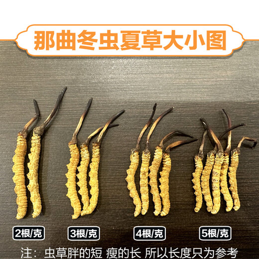 东仔【西藏那曲】野生冬虫夏草高海拔野生虫草断草滋补品礼盒送长辈 【西藏那曲野生】小号断草-自用滋补 5克（礼盒装）