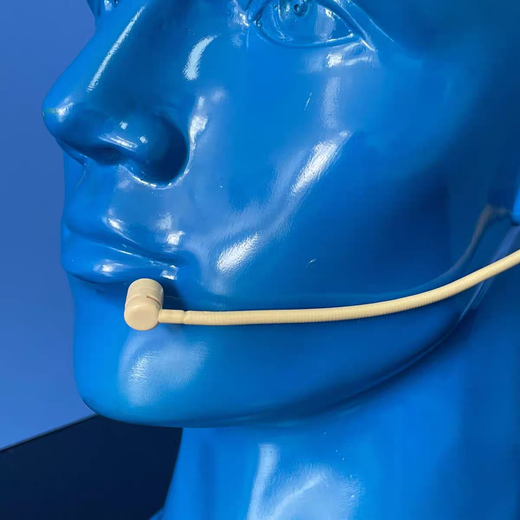 Skin color wired headset microphone unidirectional ear-hook headset live recording stage performance opera microphone skin color external lock