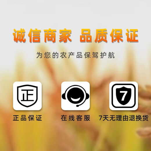 Agricultural 50% fluazinam suspended fungicide Chinese cabbage clubroot disease potato late blight pesticide 500g