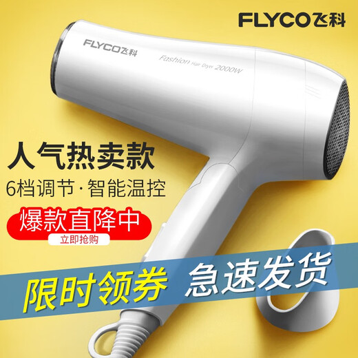 Borui feike sèche-cheveux ménagers haute puissance 2000w de vitesse de vent élevée dortoir dortoir à température constante de température capillaire tube d'air fh6232 fh6231
