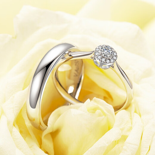 EothPT950 Platinum Moissanite Diamond Couple Ring Girls Pair Ring Men's Valentine's Day Birthday Gift for Girlfriend (Pair) PT950 Platinum Couple Ring + Certificate