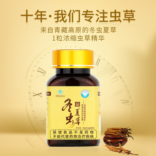 80 Kapseln von Guiren Cordyceps sinensis Kapseln/Flasche zur Verbesserung der Immunität, nahrhafte Ernährungsgeschenke für Menschen mittleren Alters und älteren Menschen, Geschenke für Älteste [eine Schachtel Erfahrung] 1 Flasche * 80 Kapseln