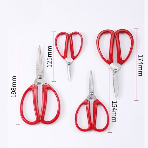 Zhang Xiaoquan scissors household small stainless steel round head scissors office large paper cutting life scissors kitchen scissors extra small 125mm (single handle)