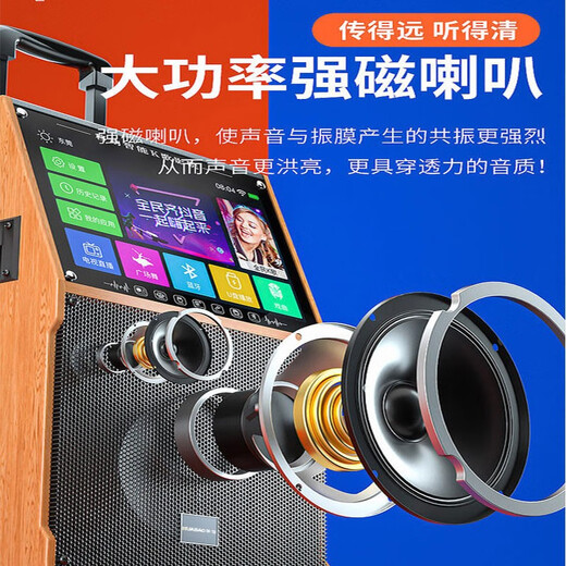 Jinzheng square dance audio with display screen outdoor audio karaoke all-in-one machine trolley speaker mobile Bluetooth home KTV audio karaoke machine large volume 21# Bluetooth wooden trolley flagship version + dual microphones standard without U disk without bracket