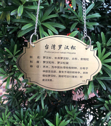 The province's excellent tree sign custom-made stainless steel metal green plant greening sign courtyard flowers and trees introduction adoption plug-in sign 10 stainless steel 10*12