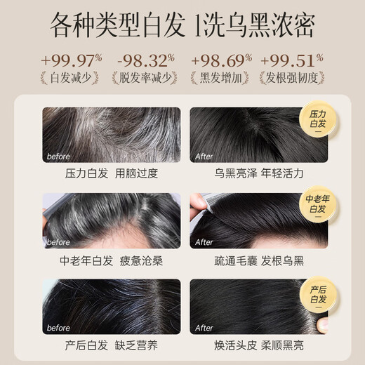儒意（RUYI）何首乌黑发洗发水500g 黑灵芝柔顺亮泽控油蓬松植萃滋润养护发