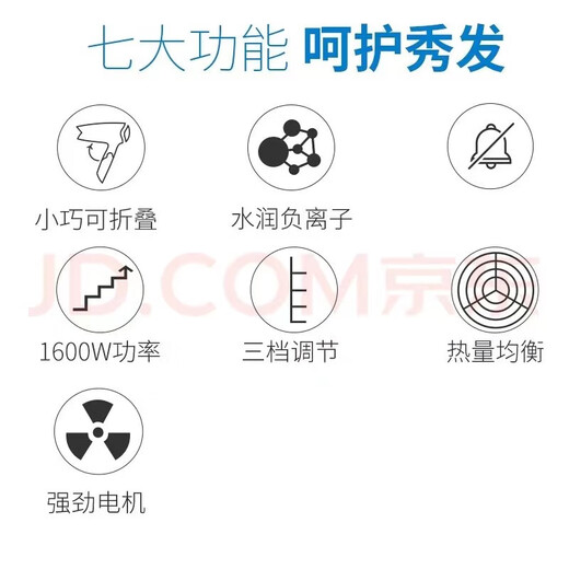 飞科（FLYCO）电吹风机家用恒温负离子恒温速干护发大功率电吹风宿舍可折叠冷热风网红款电吹风机 FH6223【1600W蓝色折叠款】