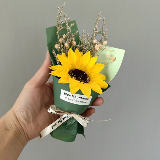 Wilkie pocket bouquet mini small bouquet holding roses dried flowers fake flowers Teacher's Day gift meeting flowers romance in pocket [a bouquet of red roses]