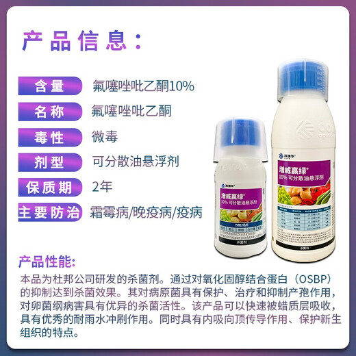 Corteva DuPont Zengwei Yinggreen 10% fluthiazolpyridone cucumber grape tomato late blight downy mildew fungicide 30ml (Zengwei single bottle)