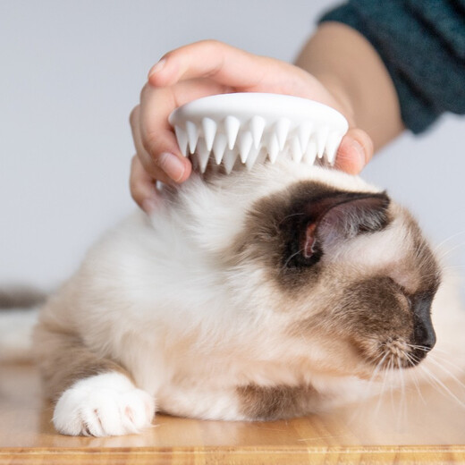 Xiaopei pet cat comb to remove floating hair, cat hair cleaner, dog massage comb, cat hair comb, dog hair comb, ivory white