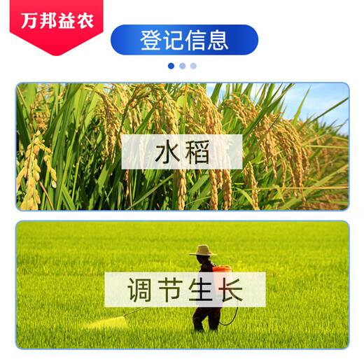 Tianbang Biao 0.01% 14-Hydroxybrassinosteroid Agricultural Growth Regulating Rice Plant Growth Regulator Pesticide 100ml