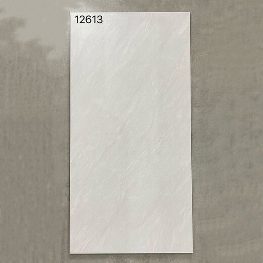 维诺亚600x1200仿古地砖防滑客厅水泥灰仿古砖工业复古风极简风哑光地面 12611