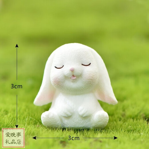 微景观树脂  小兔子小摆件 迷你动物盆景多肉装饰可爱 桌面摆件 萝卜