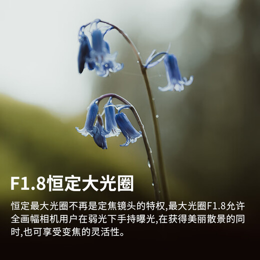 SIGMA Art 28-45mm F1.8 DG DN full-frame wide-angle zoom lens constant large aperture landscape portrait (Sony E-mount)