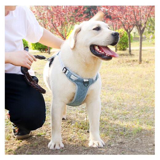 Hanhan pet dog harness I-back traction rope small and medium-sized large dogs Kirkland hair explosion-proof and anti-breakaway belt reflective haze blue harness with reflective strip M code recommended for use within 18-36 Jin [Jin equals 0.5 kg]
