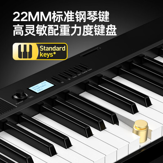 特伦斯折叠琴88键便携式电钢成人儿童电子琴重力度键盘V30pro家用 炫酷黑+专用琴包