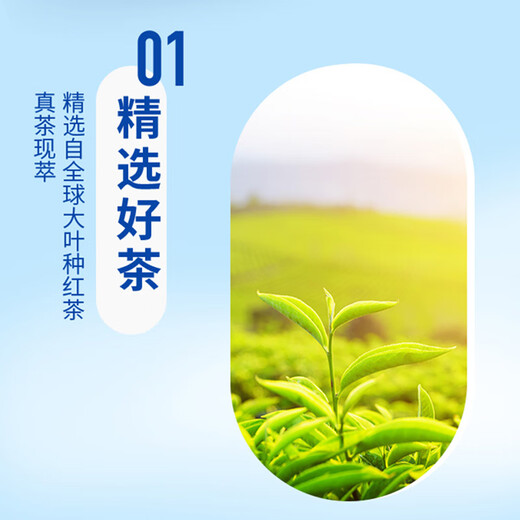 Unified Assam Milk Tea Оригинальный молочный чайный чайный напиток 500 мл*15 бутылок целая коробка