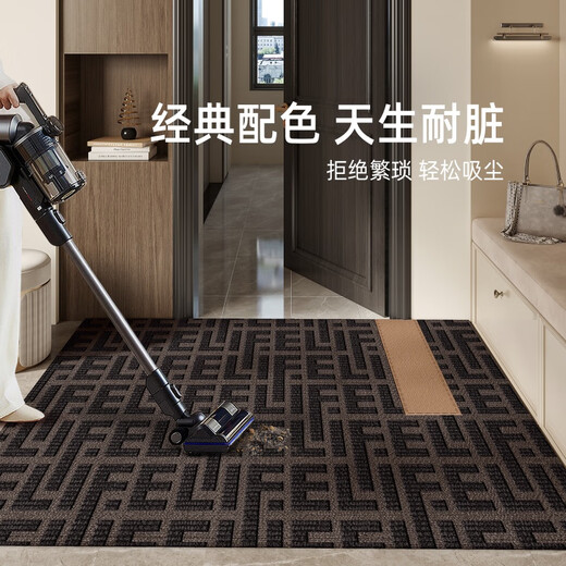 溥畔入户地垫玄关轻奢感进门门口入门地毯耐脏门垫门外脚垫 朝暮-14109 80cm*160cm