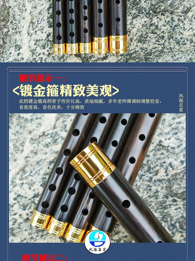 风海名家管子乐器初学者 镀金箍专业级成人儿童催泪管D大G调大F送树脂哨片 专业大F调（高配）