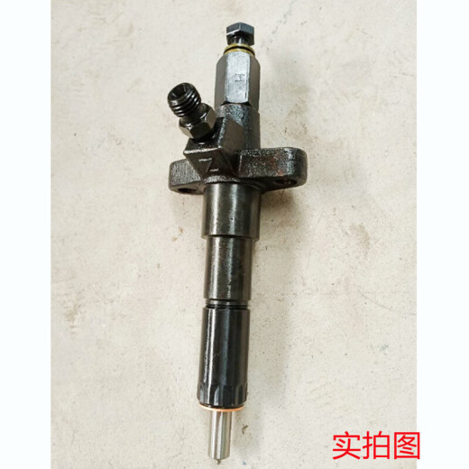 XMSJ195 1100 S1105 1110 ZS1115喷油嘴配件单缸柴油机喷油器总成 全新S195/1100涡流室油嘴总成