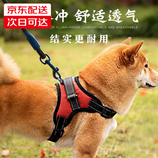 Five tail corner, 2 meters longer rope, dog leash, corgi harness, traction rope, medium and large small dog walking rope, Shiba Inu, red M (recommended 20-40 Jin Jin equals 0.5 kg)
