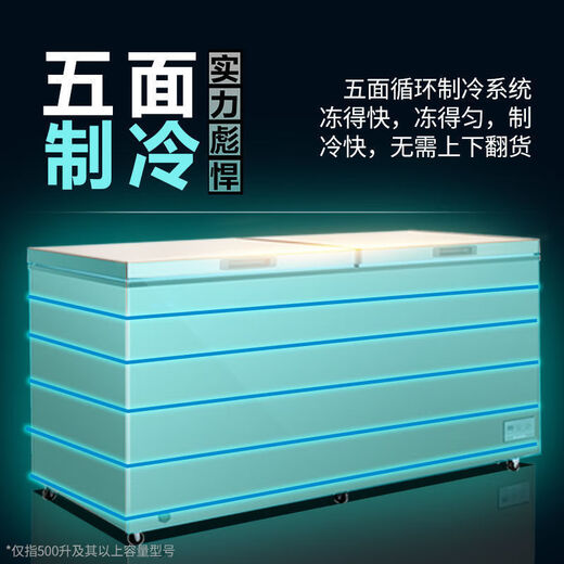 美菱（MeiLing）【-40度超低温】美菱大容量电子控温急速冻冰柜单温家用商用冷柜低温保鲜冷冻海鲜单双门变温雪柜 【-40度】升级防凝露 电控带门锁 钢胆 739升