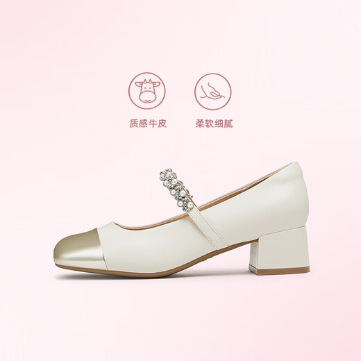 Tianmeiyi Shoes Women Shoes Mall mismo tacón grueso French Retro Single Shoes Mary Zhen Shoes Spring and Autumn Style BJ761CQ4 Silver 38