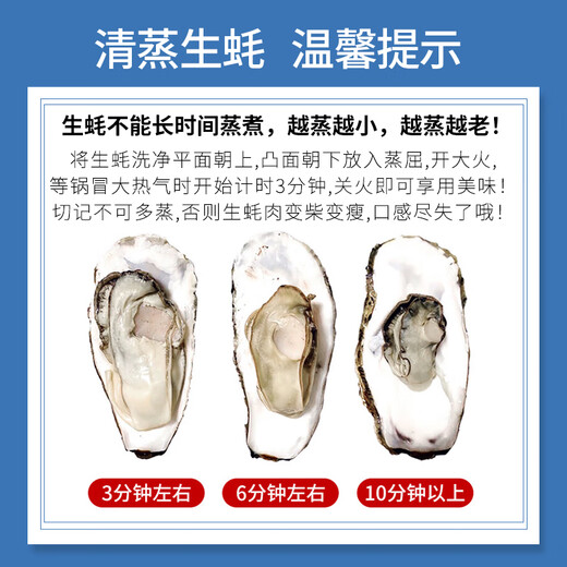 Popular Rushan oysters, fresh oysters, extra large seafood oysters, 5 Jin Jin equals 0.5 kg, whole box of fresh oysters, 5 Jin Jin equals 0.5 kg, 3XL size, 15-18 pcs, quality guaranteed