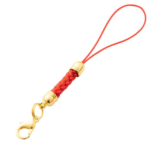 Pei Nanwei 10 lobster clasp lanyards, pendant ropes, mobile phone pendant ropes, diy material jewelry accessories, bag accessories, 10 multi-color mixed packs