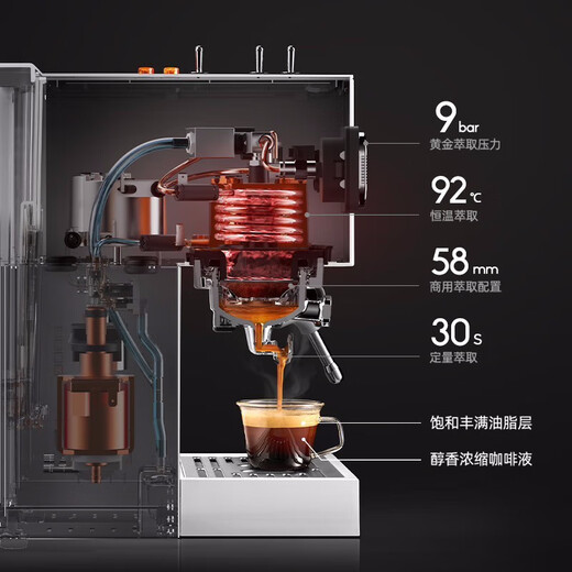 
Baicui Coffee Machine Dual Boiler Double Water Pump Household Retro Full Semi-Automatic Italian Coffee Machine with Steam Milk Froth Small All-in-One Machine Semi-Commercial PE3888 White-with Bean Grinder