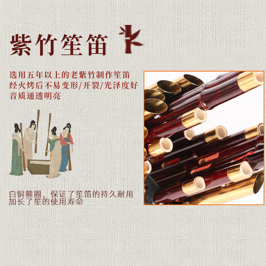 宏艺凤鸣宏艺凤鸣笙乐器14簧17簧21簧初学专业扩音紫竹圆方笙厂家直销演奏 17簧D调扩音管（紫竹+白管+箍）