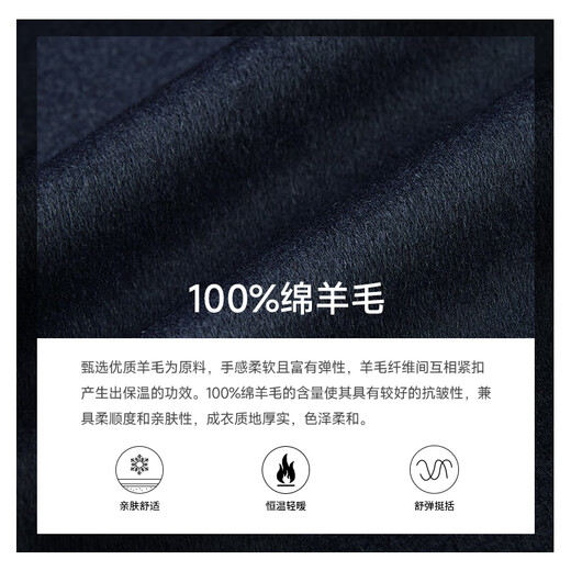 Sachi Satchi Men's Clothing 2023 Autumn New Style Business Wool Wool Warm Jacket Single Gen Men Blue M (48)
