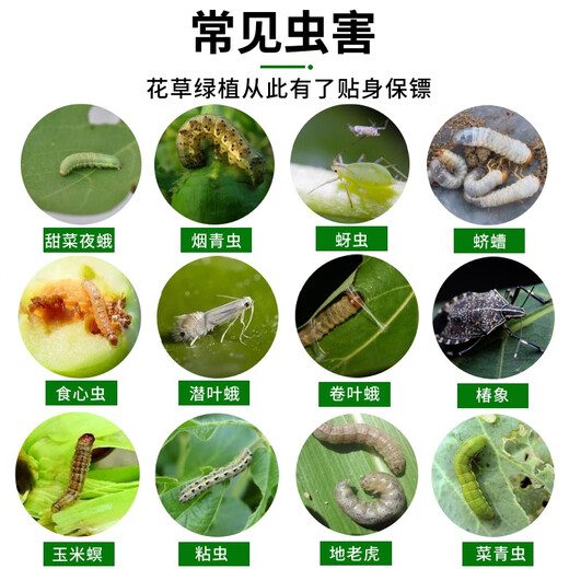 Tea dry powder insecticide, vegetable and fruit plant potted tea bran removal, snail removal, indoor nutrition, flower farming vegetable tea seed powder fertilizer, tea dry powder 5 Jin Jin is equal to 0.5 kg