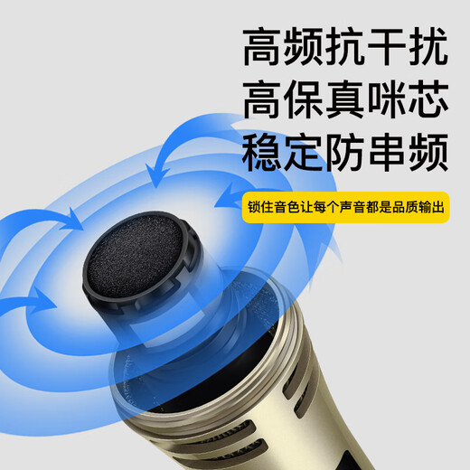 Ringing Wireless Microphone Handheld Microphone Outdoor Performance Singing Audio Amplifier Universal Anti-Howling U-section Hosting Conference Training Speech Trolley Speaker One to Two Wireless Microphone Champagne Gold