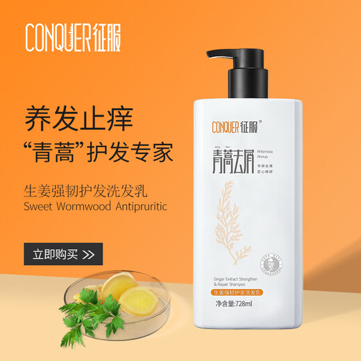 Skalpserum Artemisia Annua Anti-Dandruff Anti-Chaal-Kontrollöl Fluffy Shampoo Ingwer Haarnahrungs- und Milbenentfernung Shampoo Ingwer Stärke Haarpflege Shampoo 728ml