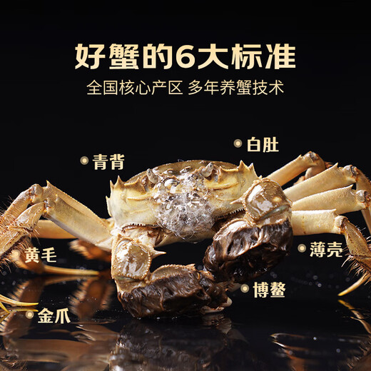 Live crabs, fresh hairy crabs from Xianjing, 3.5 taels of whole female crabs, 4 pairs of 8 pieces, full weight without rope, crabs, river crabs, fresh gift box